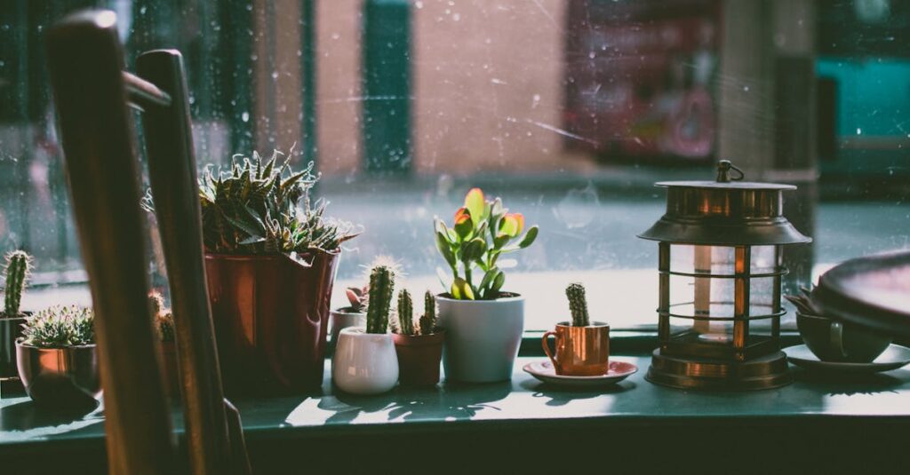 Cozy indoor window arrangement featuring potted cacti, a lantern, and a teacup with natural daylight.